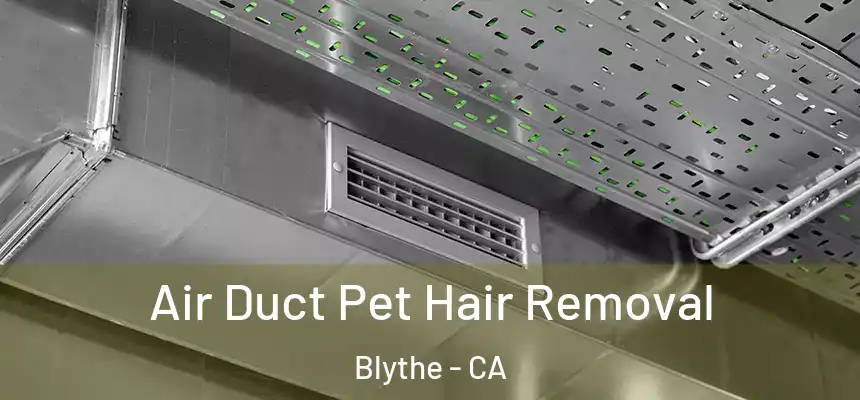  Air Duct Pet Hair Removal Blythe - CA