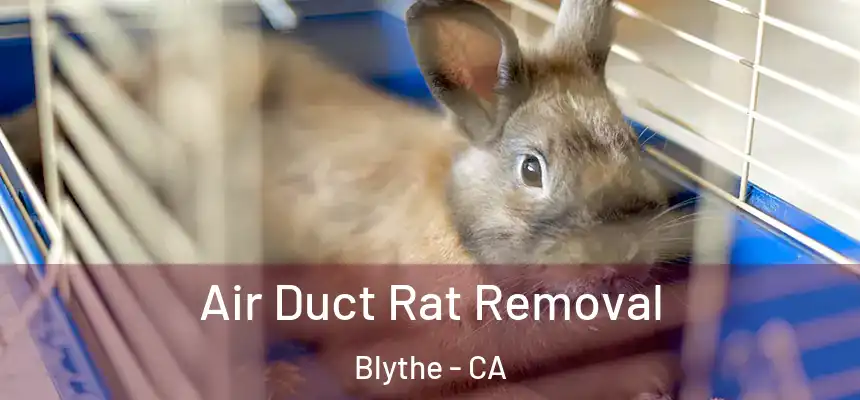  Air Duct Rat Removal Blythe - CA