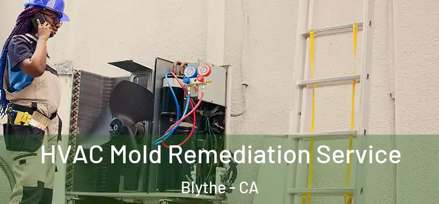 HVAC Mold Remediation Service Blythe - CA