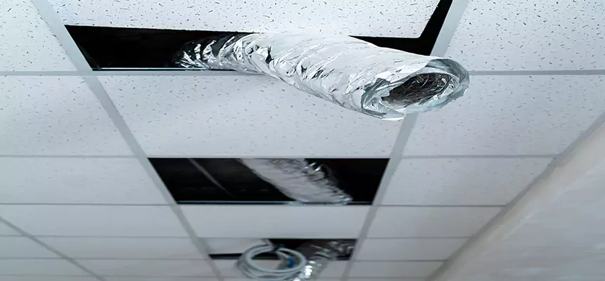 Affordable HVAC Sanitizing After Pest Removal in Blythe