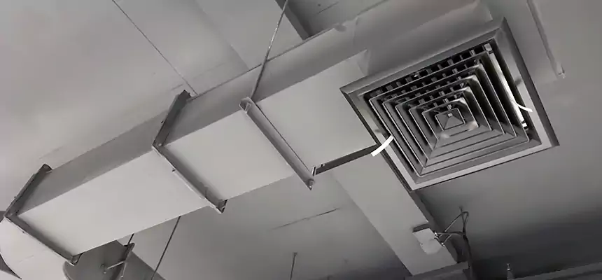 Restorative Allergy Relief Vent Cleaning – Coil, Blower & Housing Detail in Blythe