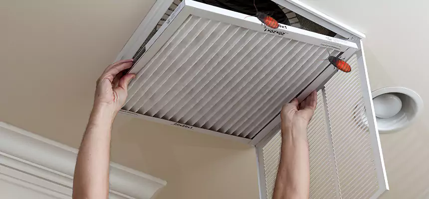 Our Insect Removal from Air Ducts Services in Blythe, CA