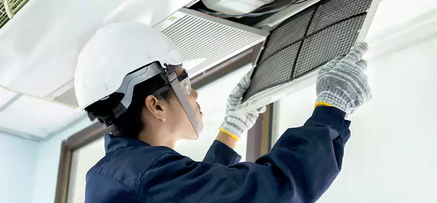 Our Mold & Mildew Removal from Air Ducts Services in Blythe, CA