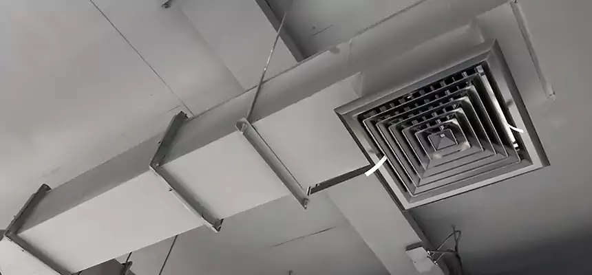 Our Rodent Droppings In Vents Services in Blythe, CA