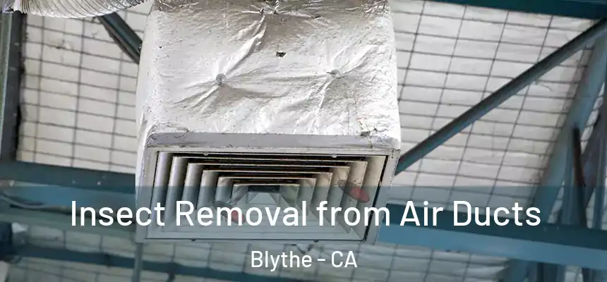  Insect Removal from Air Ducts Blythe - CA
