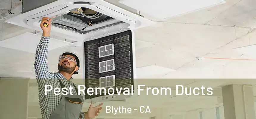  Pest Removal From Ducts Blythe - CA