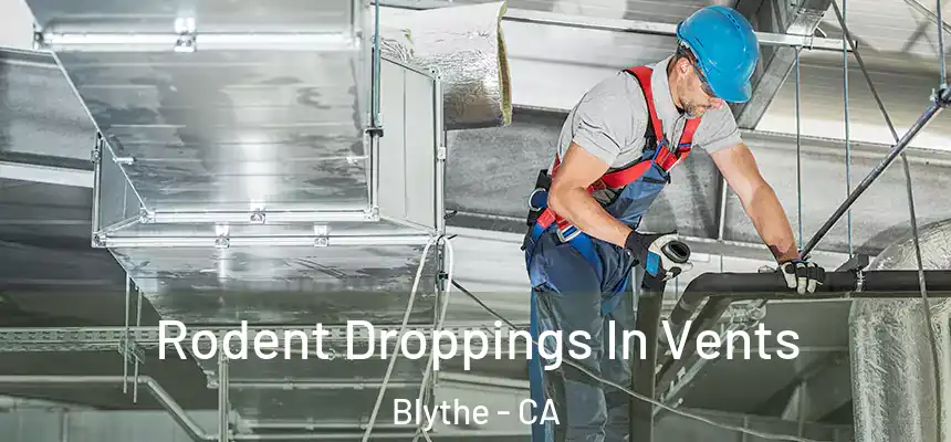 Rodent Droppings In Vents Blythe - CA