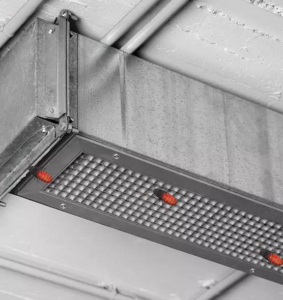About Air Duct Cockroach Removal in Blythe, CA